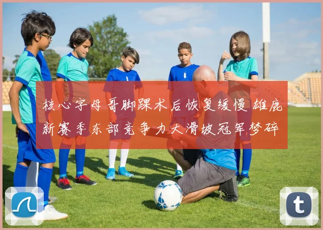 核心字母哥脚踝术后恢复缓慢 雄鹿新赛季东部竞争力大滑坡冠军梦碎