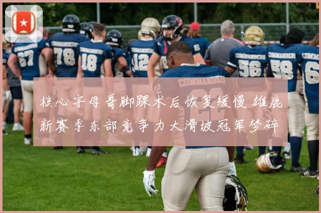 核心字母哥脚踝术后恢复缓慢 雄鹿新赛季东部竞争力大滑坡冠军梦碎